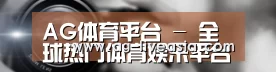 公司动态