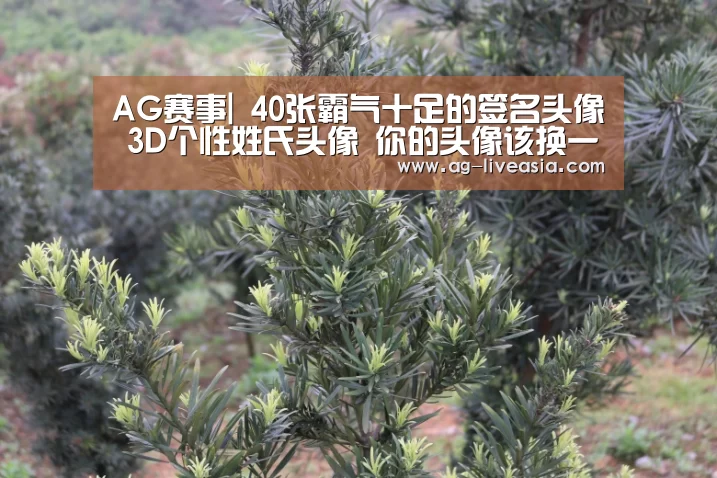 AG赛事|
40张霸气十足的签名头像 3D个性姓氏头像 你的头像该换一换了(图3) AG体育